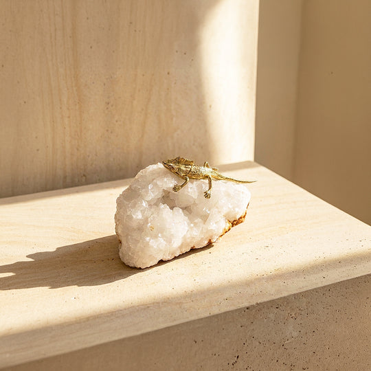 Clear Quartz Lizard Crystal Display | CE8021