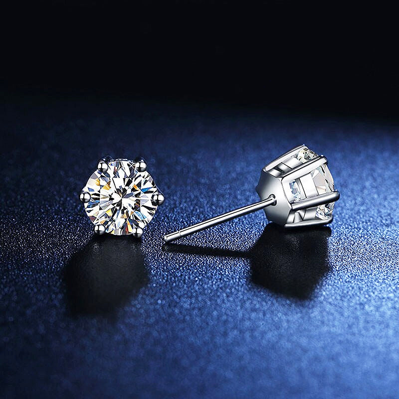 🎁 Tiara Earrings (100% off)